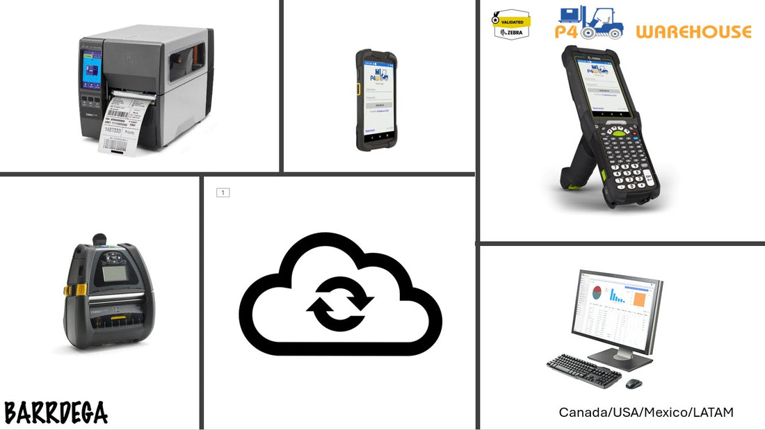 Cloud-based and Ready to Go: P4 Warehouse